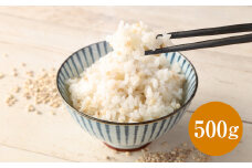 ご飯にもサラダにも！もち丸麦 500g 雑穀米 雑穀 麦 もち麦 麦ごはん 麦ご飯 サラダ 食物繊維 常温 お取り寄せ 国産 九州産 熊本県 湯前町