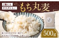 ご飯にもサラダにも！もち丸麦 500g 雑穀米 雑穀 麦 もち麦 麦ごはん 麦ご飯 サラダ 食物繊維 常温 お取り寄せ 国産 九州産 熊本県 湯前町