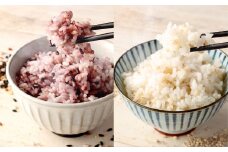 【2025年11月上旬より発送開始】 ヘルシー五穀米ともち丸麦セット 五穀米 250g×1袋 もち丸麦 320g×1袋 合計570g 雑穀米 雑穀 黒米 玄米 赤米 麦 もち麦 麦ごはん 麦ご飯 食物繊維 セット 常温 お取り寄せ 国産 九州産 熊本県 湯前町
