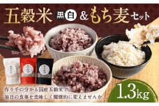 【2025年11月上旬より発送開始】 五穀米（黒・白）＆もち麦セット 450g×2袋 400g×1袋 1300g 1.3kg 五穀米 雑穀米 雑穀 五穀 米 お米 紫黒米 うるち米 餅きび 麦 押し麦 もち麦 赤米 ブレンド 常温 お取り寄せ 国産 九州産 熊本県 湯前町