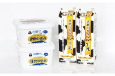 球磨の恵み「A2牛乳」と「球磨の恵みヨーグルト（加糖）｣ セット 生乳 乳製品 カゼイ菌 ぎゅうにゅう ミルク 