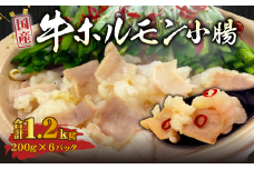 国産牛 ホルモン 小腸 計1.2kg（200g×6パック）