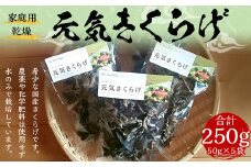 国産 家庭用 乾燥 きくらげ 50g×5袋 計250g
