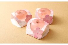 みずかみ村の 桜の レアチーズ ゼリー 110g×6個 計660g