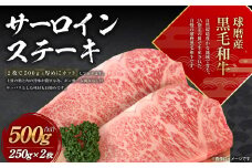 球磨産 黒毛和牛 サーロイン ステーキ 500g (250g×2枚)