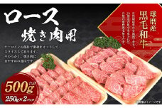 球磨産 黒毛和牛 ロース 焼き肉用  500g (250g×2パック) 