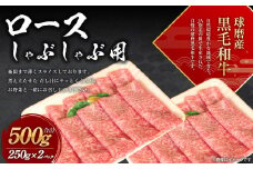 球磨産 黒毛和牛 ロース しゃぶしゃぶ用  500g (250g×2パック)