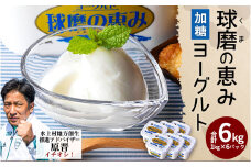 球磨の恵み ヨーグルト (加糖) 1kg×6パック 計6kg