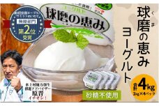 球磨の恵み ヨーグルト (砂糖不使用) 1kg×4パック 計4kg