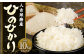 人吉球磨産 ひのひかり 計10kg(5kg×2袋) お米 産地限定