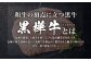 くまもと黒毛和牛 杉本本店 黒樺牛 A4~A5等級  ロースステーキ 200g×3 計600g