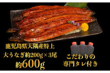 特上うなぎ 約600g (約200g×3尾) タレ付き うなぎ 蒲焼 熊本県 水上村