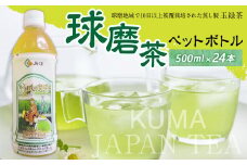 【2023年4月下旬発送開始】 球磨茶 ペットボトル 500ml×24本 緑茶 熊本県 水上村