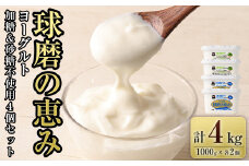 「球磨の恵みヨーグルト」 加糖・砂糖不使用 1000g×各2個 合計4個セット ヨーグルト 加糖 砂糖不使用 熊本県 水上村
