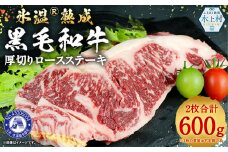 氷温(R)熟成 黒毛和牛 厚切りロースステーキ 600g 和牛 牛 肉 ロース ステーキ 熊本県 水上村