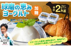 球磨の恵み ヨーグルト(加糖) 2kg(1kg×2パック) ヨーグルト 加糖