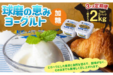【3ヶ月定期便】球磨の恵み ヨーグルト (加糖) 2kg(1kg×2パック)×3回 合計6kg ヨーグルト 加糖