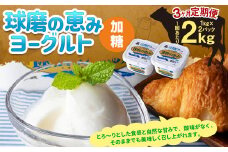 【3ヶ月定期便】球磨の恵み ヨーグルト (加糖) 2kg(1kg×2パック)×3回 合計6kg ヨーグルト 加糖