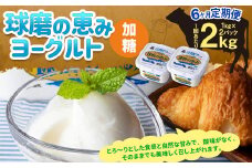 【6ヶ月定期便】球磨の恵み ヨーグルト (加糖) 2kg(1kg×2パック)×6回 合計12kg ヨーグルト 加糖