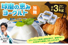 球磨の恵み ヨーグルト(加糖) 3kg(1kg×3パック) ヨーグルト 加糖