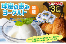 【3ヶ月定期便】球磨の恵み ヨーグルト (加糖) 3kg(1kg×3パック)×3回 合計9kg ヨーグルト 加糖