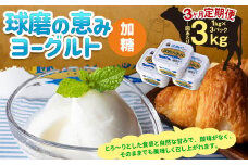 【3ヶ月定期便】球磨の恵み ヨーグルト (加糖) 3kg(1kg×3パック)×3回 合計9kg ヨーグルト 加糖