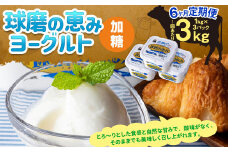 【6ヶ月定期便】球磨の恵み ヨーグルト (加糖) 3kg(1kg×3パック)×6回 合計18kg ヨーグルト 加糖