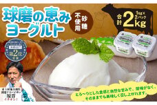 球磨の恵み ヨーグルト(砂糖不使用) 2kg(1kg×2パック) ヨーグルト 無糖