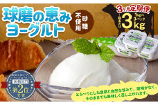 【6ヶ月定期便】 球磨の恵み ヨーグルト(砂糖不使用) 2kg(1kg×2パック)×6回 合計12kg ヨーグルト 無糖