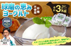 球磨の恵み ヨーグルト(砂糖不使用) 3kg(1kg×3パック) ヨーグルト 無糖