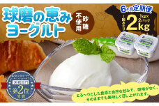 【3ヶ月定期便】 球磨の恵み ヨーグルト(砂糖不使用) 3kg(1kg×3パック)×3回 合計9kg ヨーグルト 無糖