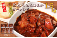 【訳あり】具だくさん やわらか牛すじシチュー 250g×6パック 合計1.5kg