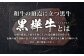 くまもと黒毛和牛 杉本本店 黒樺牛 A4~A5等級 肉厚サーロインステーキ 300g×2 計600g