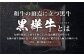 熊本県産黒毛和牛 杉本本店 黒樺牛 A4~A5等級 ローススライス すき焼き用 400g