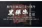 くまもと黒毛和牛 黒樺牛 A4~A5等級 焼肉用カルビ 500g（250g×2）