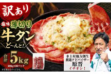 【訳あり】薄切り牛タンスライス 5kg（500g×10） 薄切り 牛タン スライス 肉 BBQ 焼肉 熊本県 水上村