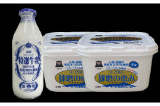 球磨酪農おすすめセットB（瓶牛乳&ヨーグルト加糖×2個） ヨーグルト 牛乳 乳製品 生乳 鮮度 セット 球磨酪農