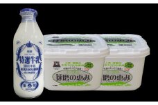【3ヶ月定期便】球磨酪農おすすめセットC（瓶牛乳&ヨーグルト砂糖不使用×2個） 合計8.7kg ヨーグルト 牛乳 乳製品 生乳 鮮度 セット 定期便 球磨酪農