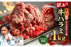 【訳あり】 厚切り牛ハラミ ミニステーキ 500g×2パック 合計1kg 牛肉 肉 ステーキ 焼肉 焼き肉 ハラミ 熊本県 水上村