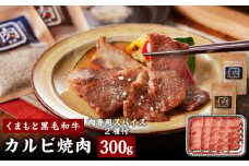 くまもと黒毛和牛カルビ焼肉（肉専用スパイス2種付） 肉 牛肉 焼き肉 カルビ 黒毛和牛 国産 熊本県 水上村