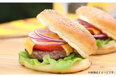 ハンバーガー パティ約100g×5枚 計:500g ハンバーガー パティ 牛肉 手作り 冷凍 熊本県 水上村