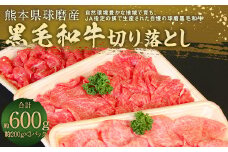 球磨産黒毛和牛 切り落とし 600g（200g×3パック） 黒毛和牛 和牛 牛 国産 肉じゃが カレー 料理