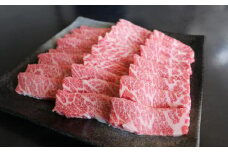 G21Q 厳選された GI認証 くまもと あか牛 特選 焼肉用 約500g 牛肉 牛 肉 ブランド牛