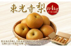 東光寺梨 約4kg 【2025年8月上旬～10月上旬発送予定／先行予約受付中】 梨 幸水 豊水 秋月 新高 新興