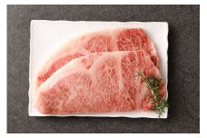 黒樺牛 【3回 定期便】 サーロイン ステーキ 400g 200g×2パック 計1200g 牛肉 ステーキ 和牛 牛 お肉 黒毛和牛 くろはなぎゅう 国産 九州産 熊本県産 冷凍