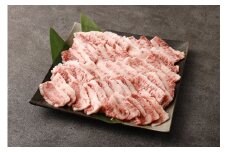 くまもと黒毛和牛 プレミアム和王 焼肉用（バラもしくは肩ロース） 計約600g（約300g×2） 黒毛和牛 和牛 牛肉 牛 お肉 肉 焼肉 バラ 肩ロース