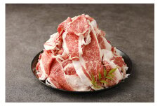 くまもと黒毛和牛 プレミアム和王 切り落とし 計約1kg（約500g×2） 黒毛和牛 和牛 牛肉 牛 お肉 肉 切落し