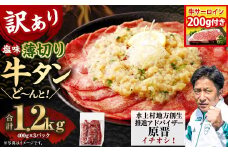 【訳あり】【数量限定】薄切り牛タンスライス 1.2kg＋サーロイン200gセット 薄切り 牛タン スライス 肉 BBQ 焼肉 熊本県 水上村 キャンペーン おまけ