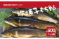 産卵直前の卵たっぷりの冷凍子持鮎  約800g （7～10尾）