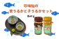 うるかセット